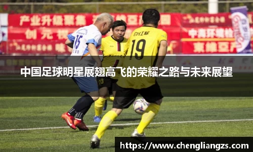 中国足球明星展翅高飞的荣耀之路与未来展望